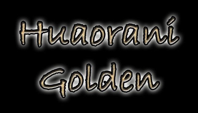 logo_huaorani