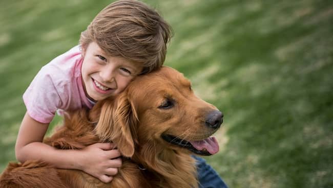 Al aire libre Soportar Redondo Razas de Perros Para Niños - 10+ Mejores con fotos